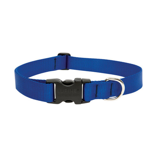 Lupine Pet 17553 Adjustable Collar Basic Solids Blue Blue Nylon Dog Blue