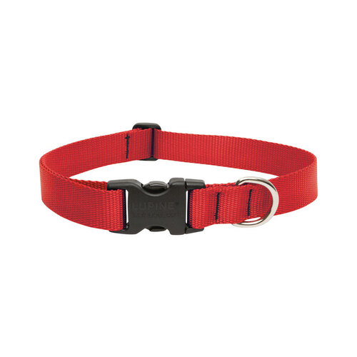 Lupine Pet 22553 Adjustable Collar Basic Solids Red Red Nylon Dog Red