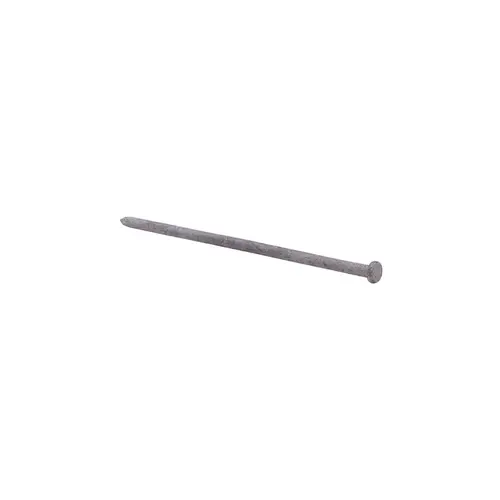 Nail 8" Spike Hot-Dipped Galvanized Steel Flat Head 5 lb Hot-Dipped Galvanized - pack of 10