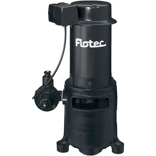 Well Pump 1 HP 720 gph Cast Iron Convertible Jet