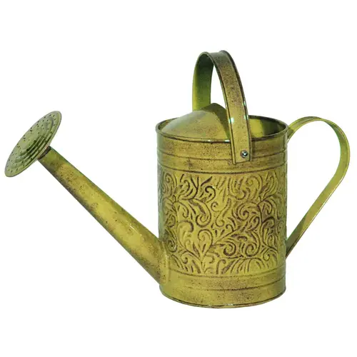 Robert Allen MPT01183 Watering Can Topaz 1 gal Metal Morgan Topaz