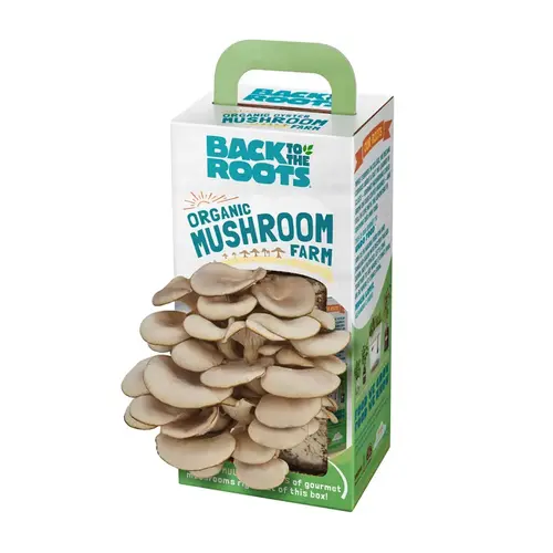 Back to the Roots 11001 Grow Kit Mushroom