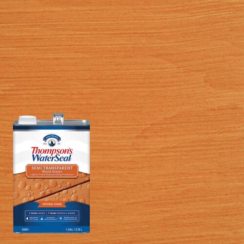 Thompson\'s Waterseal TH.09260116XCP4 Waterproofing Wood Stain and