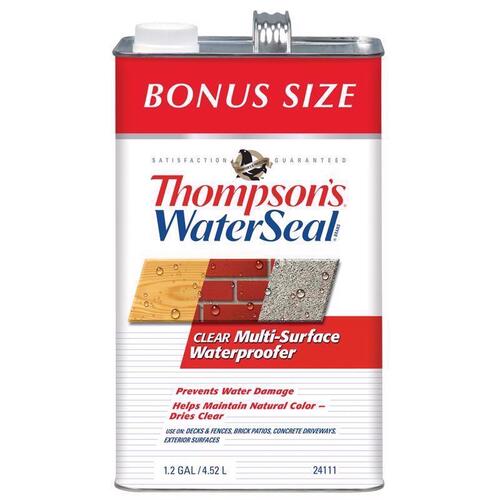 Multi-Surface Waterproofer Thompson's WaterSeal Clear Clear Water-Based 1 Clear - pack of 4