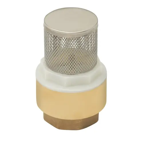 ProLine Series Foot Valve, 1-1/4 in Connection, FPT, Brass Body