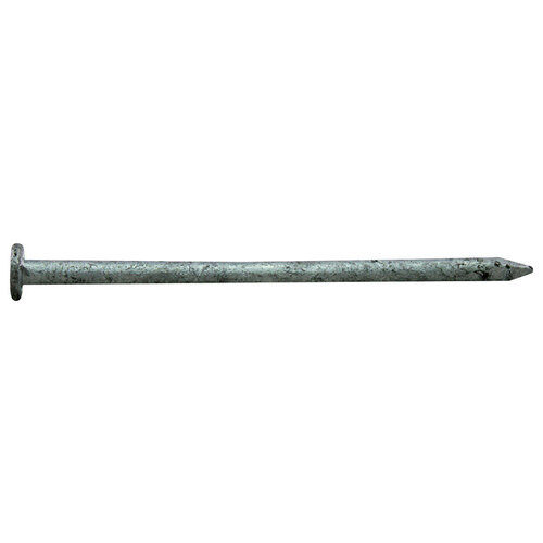 00 Common Nail, 16D, 3-1/2 in L, Steel, Hot-Dipped Galvanized, Flat Head, Round, Smooth Shank, 1 lb