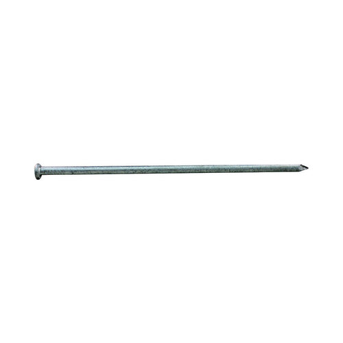 ProFit 0054285 Nail 12" Spike HotDipped Galvanized Steel Round Head 5