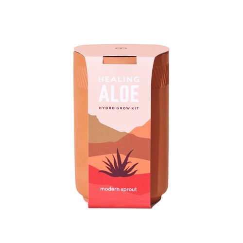 Seed Starter Kit Healing Aloe Succulent