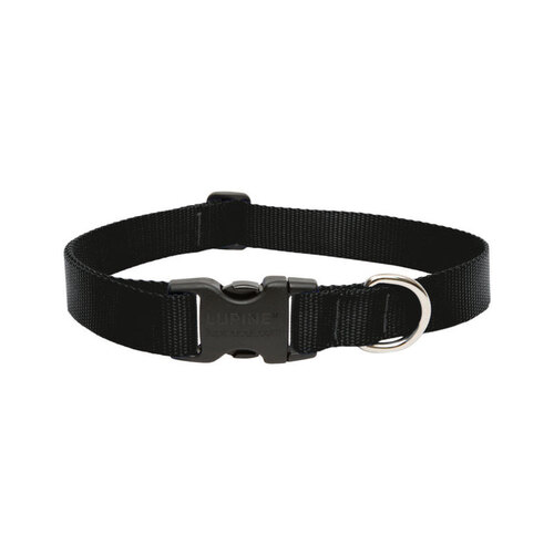 Lupine Pet 27553 Adjustable Collar Basic Solids Black Black Nylon Dog Black
