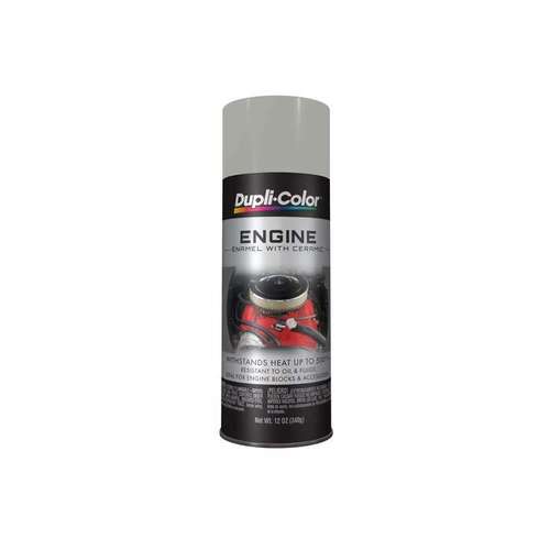 16501 Cast Coat Aluminum High Gloss Acrylic Enamel Paint - 16 oz Aerosol Can - 12 oz Net Weight Metal