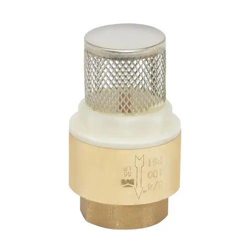 ProLine Series Foot Valve, 3/4 in Connection, FPT, Brass Body