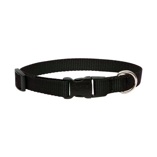 Lupine Pet 27501 Adjustable Collar Basic Solids Black Black Nylon Dog Black