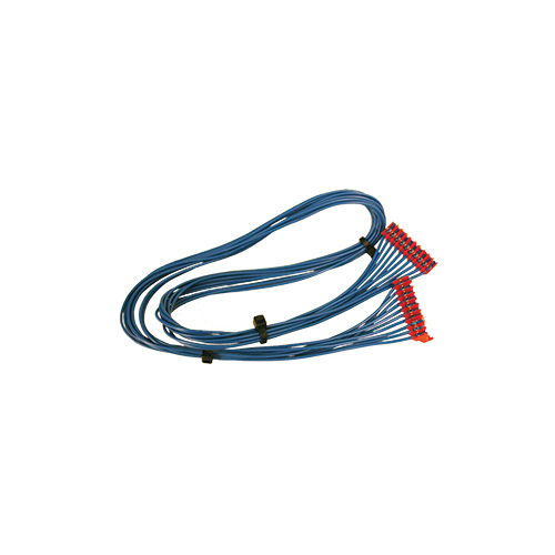 DUAL HARNESS C4190 10 PIN