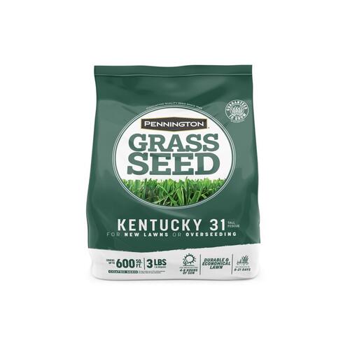 Grass Seed Kentucky 31 Tall Fescue Grass Sun or Shade 3 lb