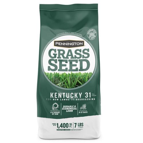 Grass Seed Kentucky 31 Tall Fescue Grass Sun or Shade 7 lb