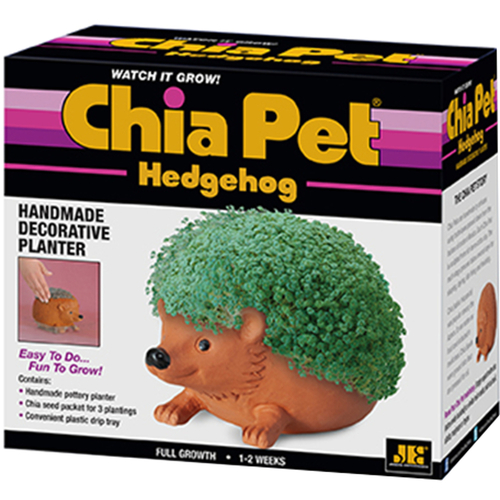 Chia Pet CP438A16 Decorative Planter Hedgehog Clay Brown