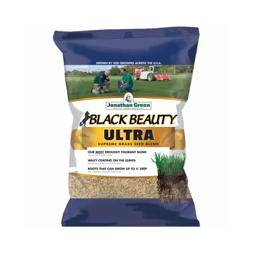 Black Beauty Ultra 25 Lb. 5000 Sq. Ft. Coverage Tall Fescue Grass Seed