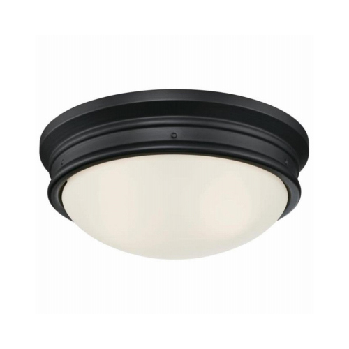 Meadowbrook Series 00 Flush Mount Ceiling Fixture, 120 VAC, 2-Lamp, Black Fixture, Matte Fixture