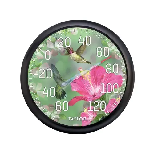 TAYLOR 6708N Dial Thermometer Plastic Multicolored 13.25" Multicolored