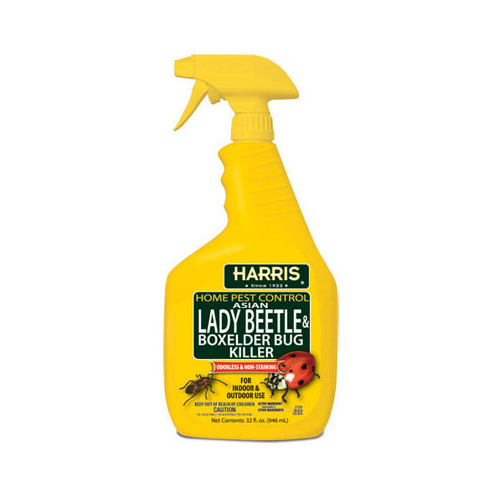 Lady Beetle & Boxelder Bug Killer Home Pest Control Liquid 32 oz
