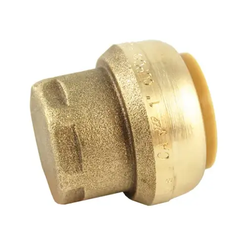 End Cap, 1 in, Brass, Chrome, 200 psi Pressure