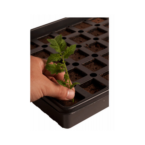 Jump Start JSAR50 Grow Tray with Plugs Accelaroot