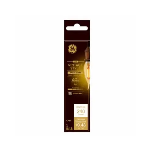 Filament LED Bulb CAM E26 (Medium) Warm Amber 40 W Clear