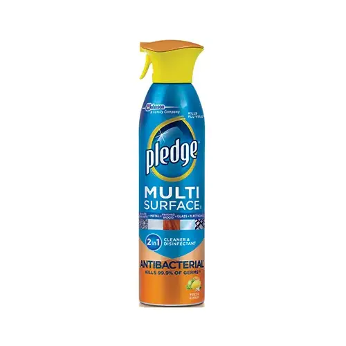 Multi-Surface Aerosol Spray Cleaner, 9.7 oz. Clear