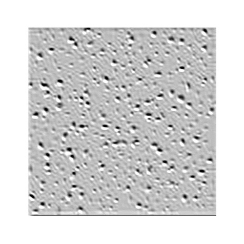 Ceiling Panel Radar Basic R2110 Non-Directional 24" L X 24" W 0.63" Square Edge Ceiling Pane White - pack of 16