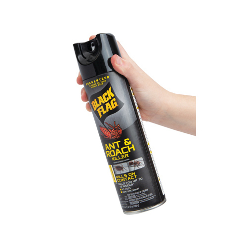 BLACK FLAG HG-11031-2 11031 Ant and Roach Killer, Liquid, 17.5 oz Aerosol Can