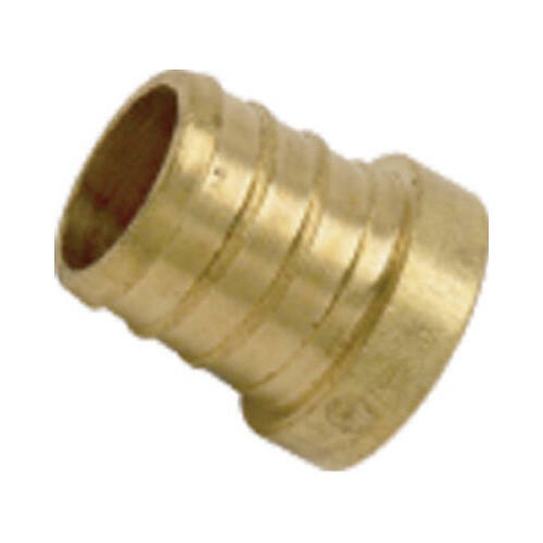 Pipe Plug, 1/2 in, Barb