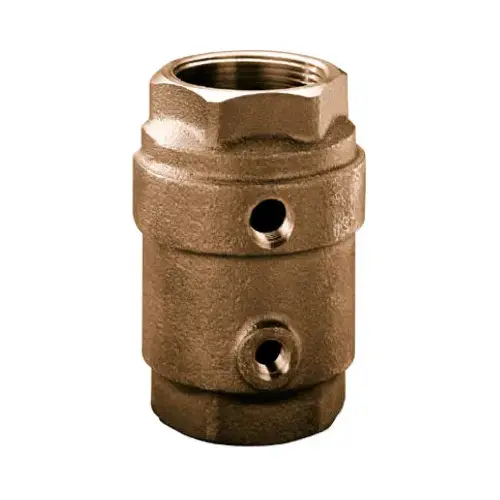 Control Center Check Valve, Brass, 1-In.