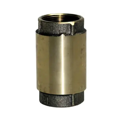 EFCV100 Check Valve, 1 in, NPT, Brass Body