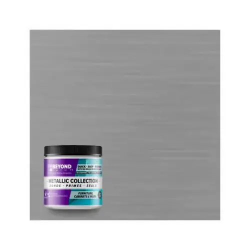 Beyond Paint BP49CP PT Metallic SLV Paint