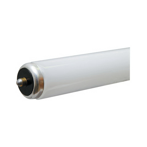 Fluorescent Tube, Cool White, 60-Watts, 8-Ft.