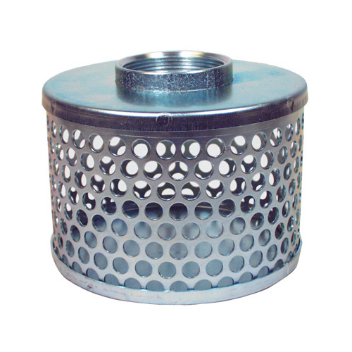 Pump Suction Strainer, Plated Steel, 2-In.