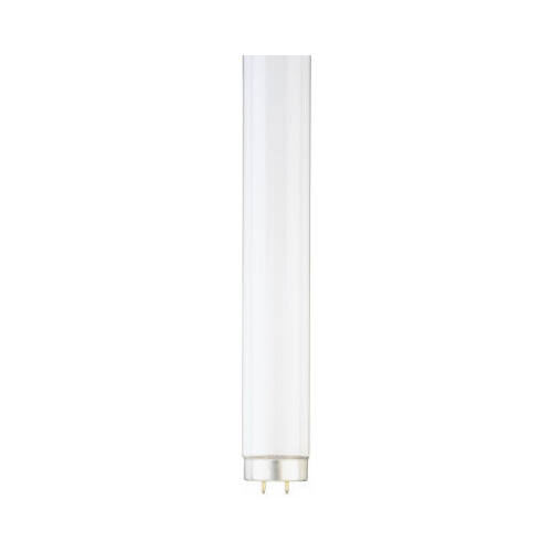 Fluorescent Light Bulb, Cool White, 30-Watts, 36-In.