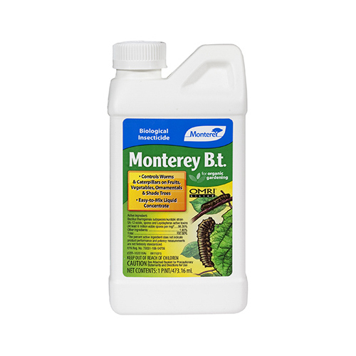 Insect Killer B.t. Organic Liquid Concentrate 1 pt