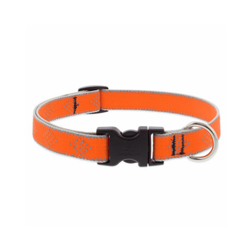 3/4x13-22"OD Dog Collar