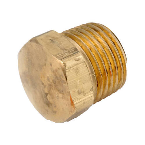 Pipe Plug, 1/4 in, MPT, Brass