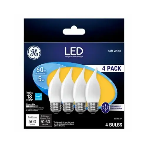 LED Flame Shape Light Bulb, Medium Base, Warm White, Frosted, 5 Watt pack of 4