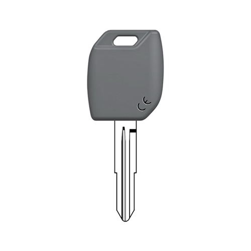 Smart Electronic Key