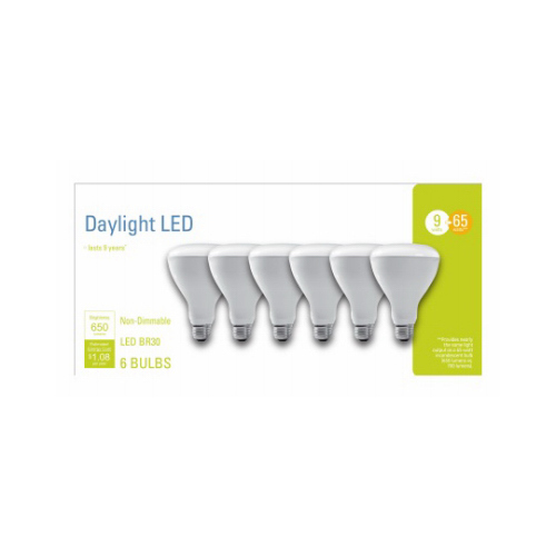 LED Light Bulb BR30 E26 (Medium) Daylight 65 Watt Equivalence Frosted