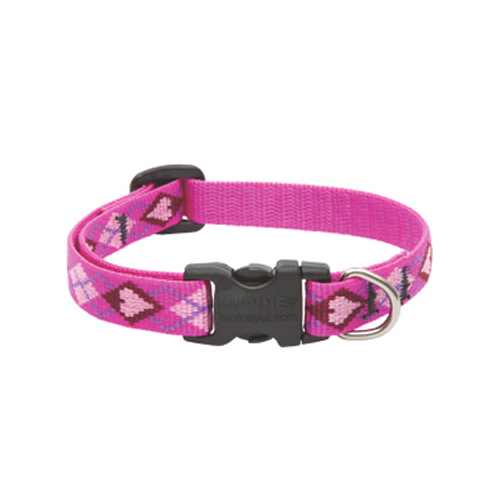 Lupine Pet 14234 Adjustable Collar Original Designs Multicolor Puppy Love Nylon Dog Multicolor