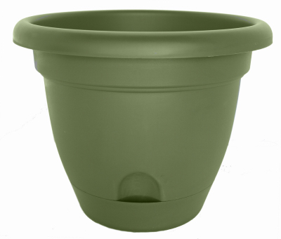 Bloem LP1642 Planter, Plastic, Self-Watering, Green, 16-In.