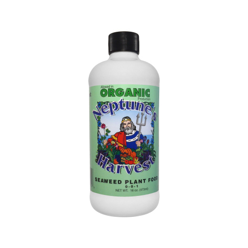 Plant Food Organic Organic Liquid Seaweed 16 oz