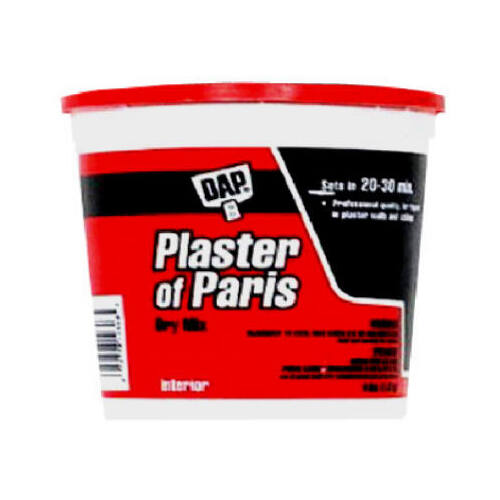 Plaster of Paris White 4 lb White