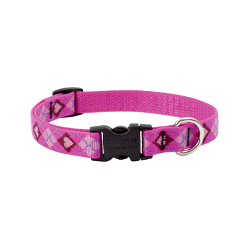 Lupine Pet 14201 Adjustable Collar Original Designs Multicolor Puppy Love Nylon Dog Multicolor