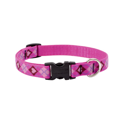 Adjustable Collar Original Designs Multicolor Puppy Love Nylon Dog Multicolor