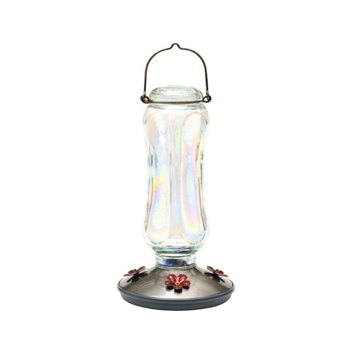 Bird Feeder, 16 oz, 4-Port/Perch, Glass, Clear, 12 in H, Hanging Mounting